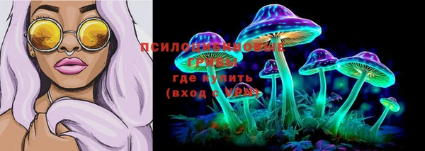 героин Пересвет