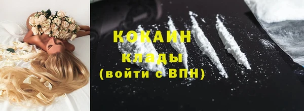 шишки Горняк