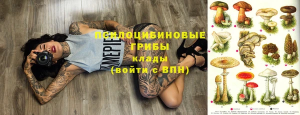 героин Пересвет