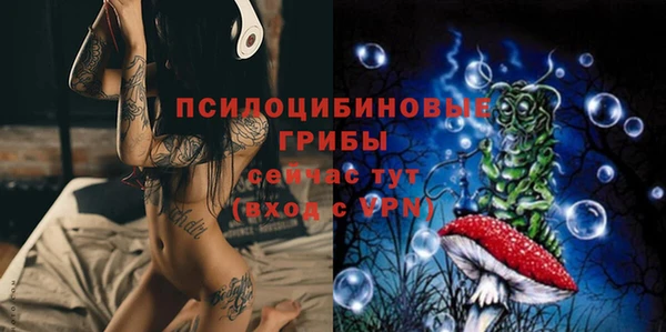 герыч Переславль-Залесский