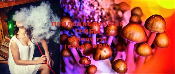 мдпв Весьегонск