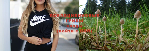 прущий лед Осинники