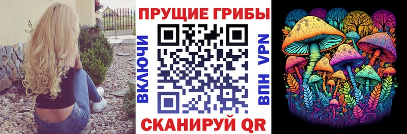 OMG маркетплейс  Белоозёрский  Псилоцибиновые грибы ЛСД  магазин  наркотиков 